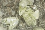 Double-Terminated Yellow Calcite Crystals on Matrix - Missouri #354686-1